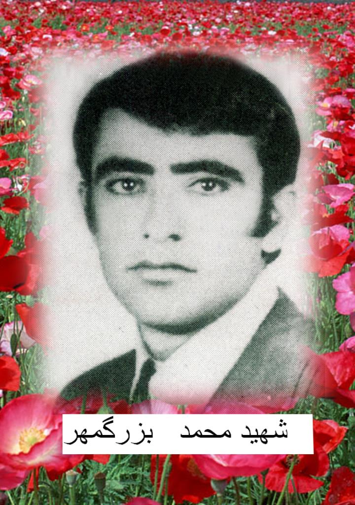 فاقد تصویر